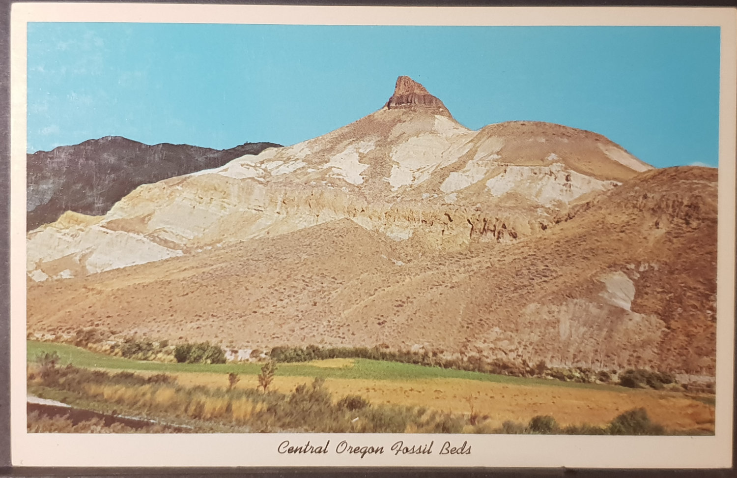 postcard USA - OR - Oregon #0003 (image for) postcard USA - OR - Oregon #0003